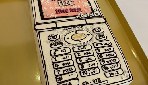 パーティー用　★基本料金★